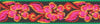 Lupine Tropicana Large Martingale Dog Collar (1 Inch)