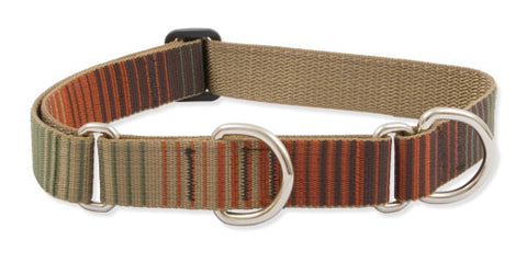 Lupine Closet Terra Cotta Large Martingale Dog Collar (1 Inch)