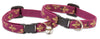 Lupine Royal Gold Small H-Style Harness for Dogs & Cats (1/2 Inch)