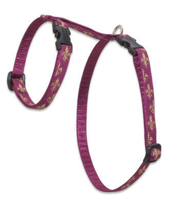 Lupine Royal Gold Small H-Style Harness for Dogs & Cats (1/2 Inch)