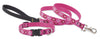 Lupine Puppy Love Medium Martingale Dog Collar (3/4 Inch)