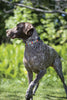 Lupine Peace Pup Medium Dog Collar (3/4 Inch)