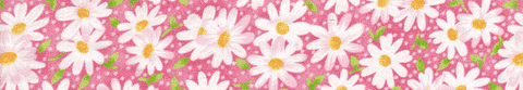 Elmo's Closet Daisies On Pink Dog Collar