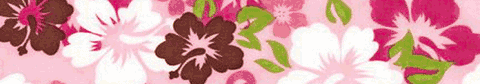 Elmo's Closet Island Sanctuary Pink Dog Collar