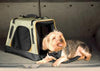 Kurgo Wander Carrier Dog Carrier