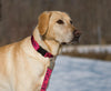 Lupine Plum Blossom Large Dog Leash (1 Inch)