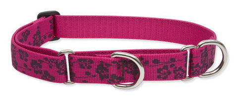 Lupine Plum Blossom Large Martingale Dog Collar (1 Inch)