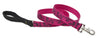 Lupine Plum Blossom Large Martingale Dog Collar (1 Inch)