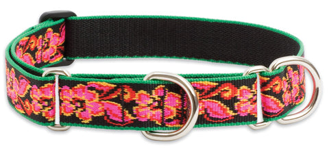 Lupine Tropicana Large Martingale Dog Collar (1 Inch)