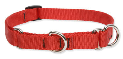 Lupine Solid Red Martingale Dog Collar