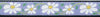 Up Country Daisy Dog Collar