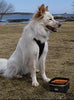Kurgo Wander Bowl Dog Travel Bowl