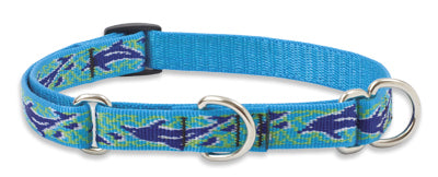 Lupine Dolphin Bay Medium Martingale Dog Collar (3/4 Inch)