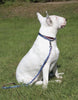 Lupine Muddy Paws Dog Leash (3/4 Inch)