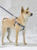 Lupine Muddy Paws Step-In Medium Dog Harness (3/4 Inch)