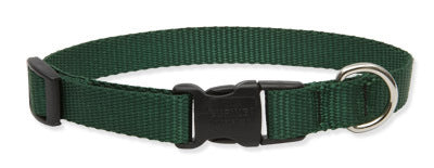 Lupine Solid Green Dog Collar