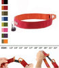 Tazlab Gunk's Green Safe-t-Stretch Dog Collar