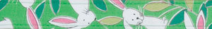 Elmo's Closet Green Hippity Hop Bunny Dog Collar