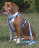 Lupine City Lights Medium Dog Harness (3/4 Inch)