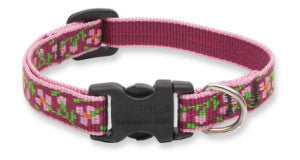 Lupine Cherry Blossoms Small Dog Collar (1/2 Inch)