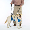 Guardian Gear 4 In 1 Lift N Lead Dog Harness System