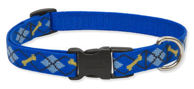 Lupine Dapper Dog Medium Dog Collar (3/4 Inch)