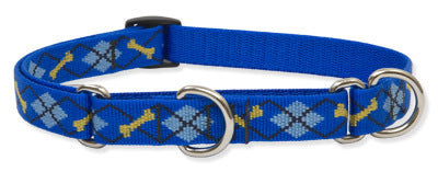 Lupine Dapper Dog Medium Martingale Dog Collar (3/4 Inch)
