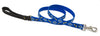Lupine Dapper Dog Medium Martingale Dog Collar (3/4 Inch)