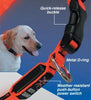 Nite Ize Nite Dawg Illuminated Dog Collar