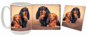 MugWorld Long Haired Dachsund Mug and Coaster Combo Style Two