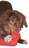Hi Q El Linkable Dog Treat Toy