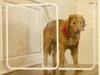 Cardinal Clear Dog & Baby Safety Gate