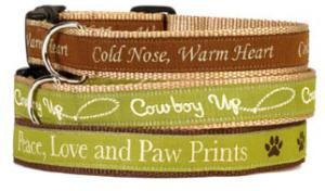 Spot My Dog Cowboy Up Dog Collar