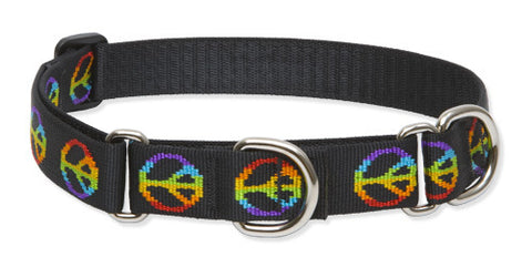 Lupine Woofstock Large Martingale Dog Collar (1 Inch)