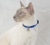 Lupine Noble Beast Small H-Style Harness for Dogs & Cats (1/2 Inch)