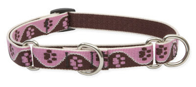 Lupine Tickled Pink Medium Martingale Dog Collar (3/4 Inch)
