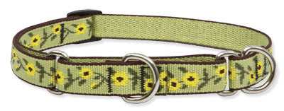 Lupine Suzie Q Medium Martingale Dog Collar (3/4 Inch)