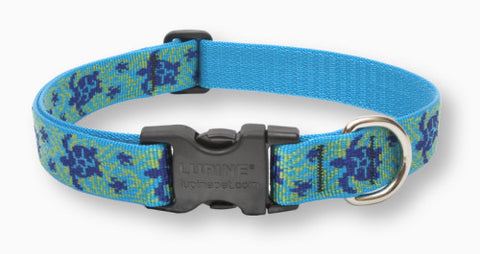 Lupine Turtle Reef Large Dog Collar (1 Inch)