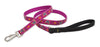 Lupine Closet Grrly Dog Medium Martingale Dog Collar (3/4 Inch)