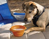 Kurgo Collaps-A-Bowl Travel Dog Bowl