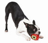 Planet Dog Orbee Tuff Strawberry Dog Toy
