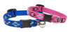 Lupine Dapper Dog Cat Breakaway Collar (1/2 Inch)