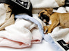 Madison Avenue Mutts Bungalow Pink Dog Blanket
