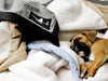 Madison Avenue Mutts Bungalow Black Dog Blanket