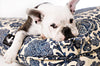 Madison Avenue Mutts Catalina Island Blue Dog Bed