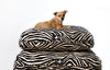 Madison Avenue Mutts Modern Art Black Dog Bed