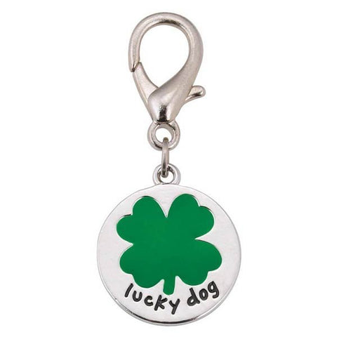 Lucky Dog Charm