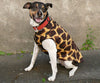 Gold Paw Animal Prints Cozy Dog Coat
