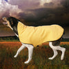 Gold Paw Organic Cotton Dog Rain Jacket
