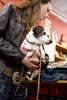 Lupine Love Struck Small Dog Harness (1/2 Inch)